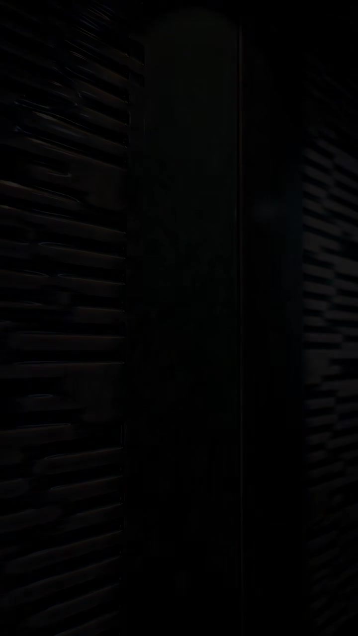 羽脉·成势 